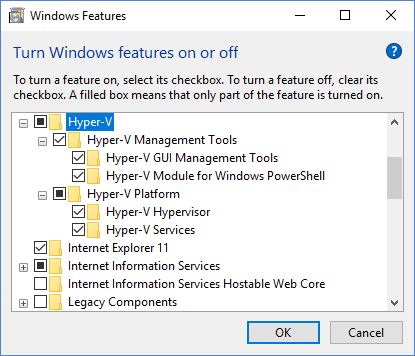 Turn on windows features